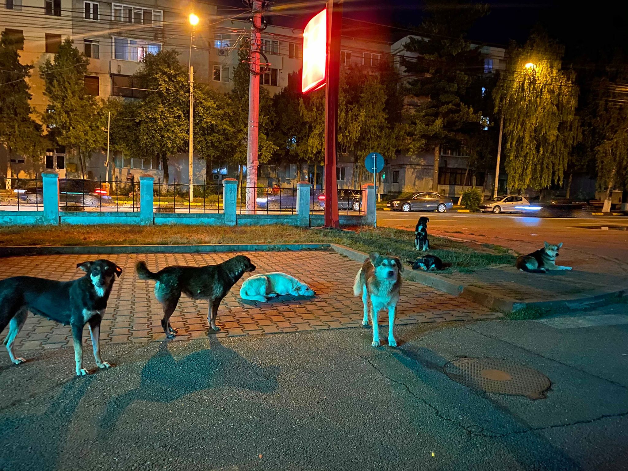 Pericol sau neglijenţă?