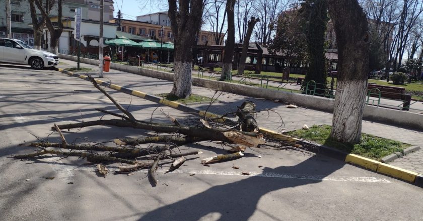 FOTO: Pagube materiale cauzate de vremea rea
