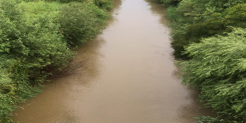 Vremea se înrăutăţeşte! COD PORTOCALIU de ploi emis pentru Tecuci