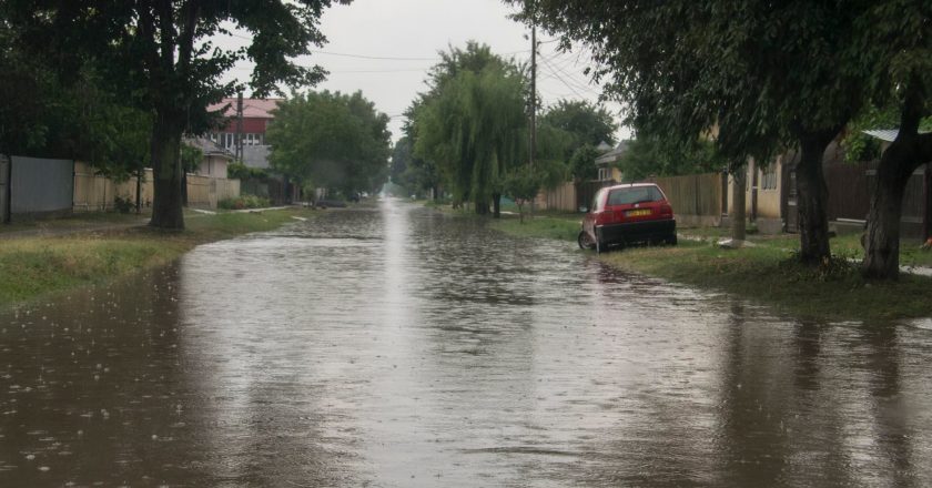 Cod galben de vijelii pentru județul Galați