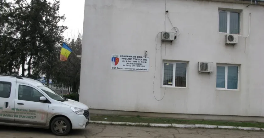Municipalitatea plătește 200.000 de lei pentru cosit iarba
