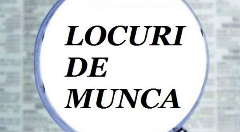 Oferta locurilor de muncă în Tecuci
