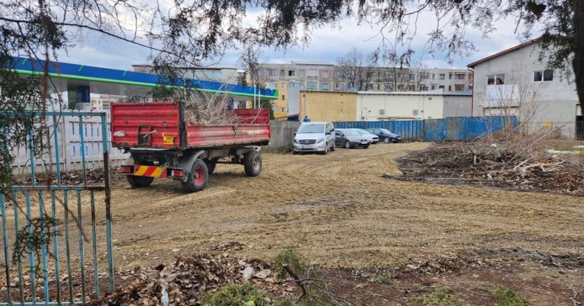 REVOLTĂTOR. O echipă de muncitori de la Primărie curăță terenul privat al cumnatului primarului