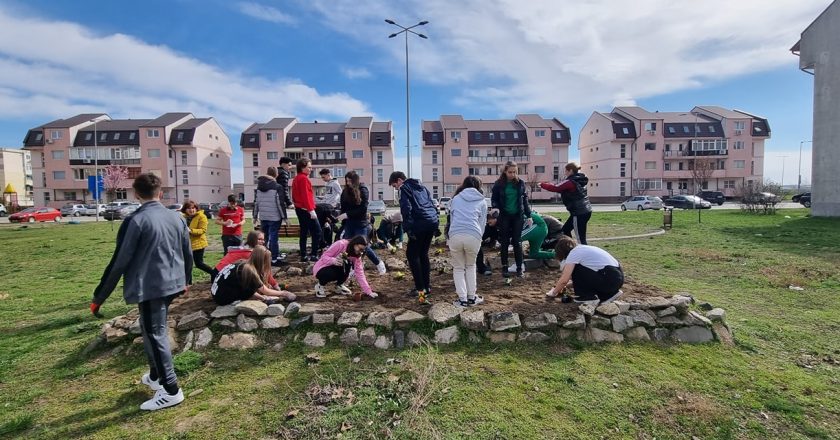 Săptămână de școală inedită pentru elevii școlii „Iorgu Iordan”. Elevii s-au implicat în activități de protejare a mediului înconjurător