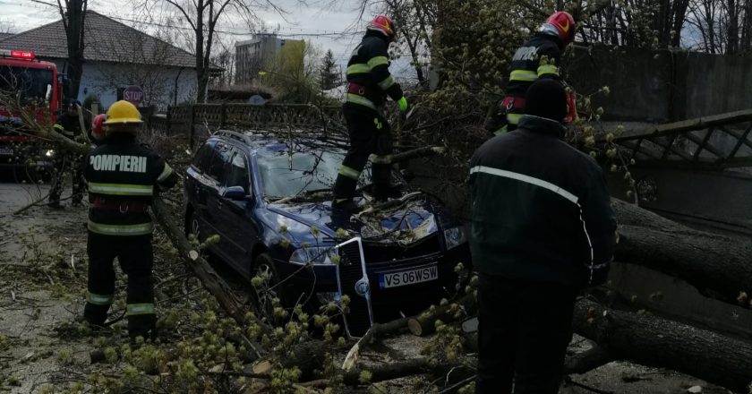 Video. Două mașini au fost strivite de un copac pe o stradă din Tecuci