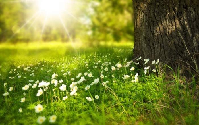 Temperaturi de primăvară în următoarele zile