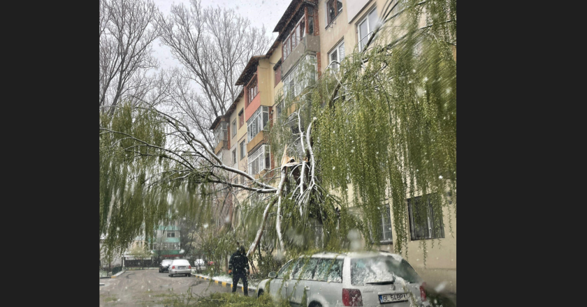 Mai suntem în siguranță? Incompetența și nepăsarea pot ucide
