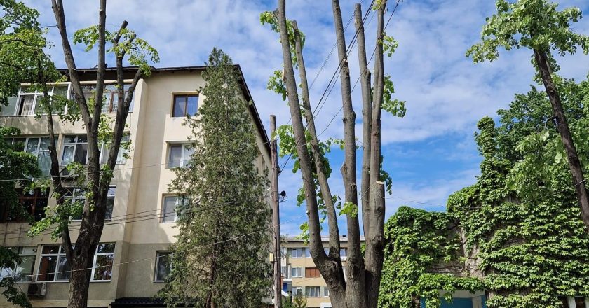 Premieră mondială la Tecuci. Copacii sunt distruși de angajații Primăriei.
