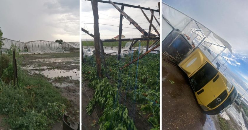 Fermierii din Matca sunt cei mai afectați din județ după furtuna din luna august