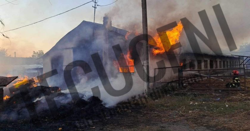 VIDEO | Incendiu puternic la fostul CAP din Tecuci. S-au înregistrat pagube materiale și câteva animale au murit.