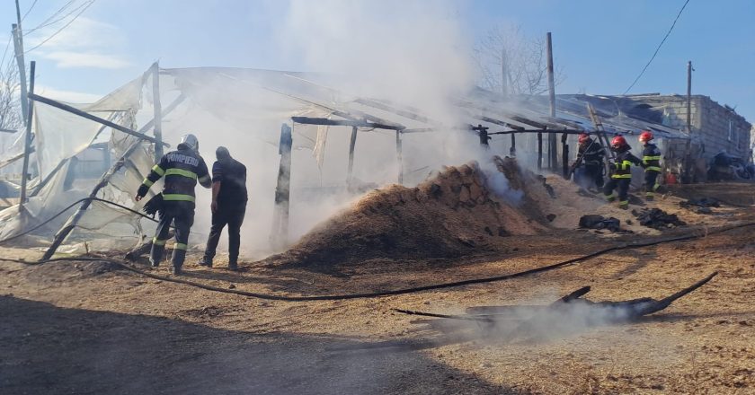 VIDEO. Incendiu puternic într-o gospodărie din Matca