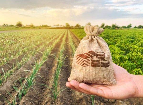 Tecucenii pot depune cereri de plată către APIA până în luna martie